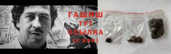 гашик Алексеевка