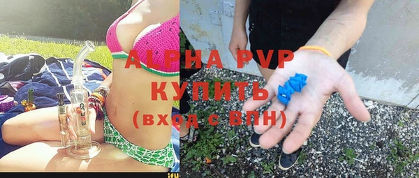 гашик Алексеевка