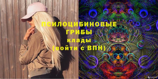 Альфа ПВП Абаза