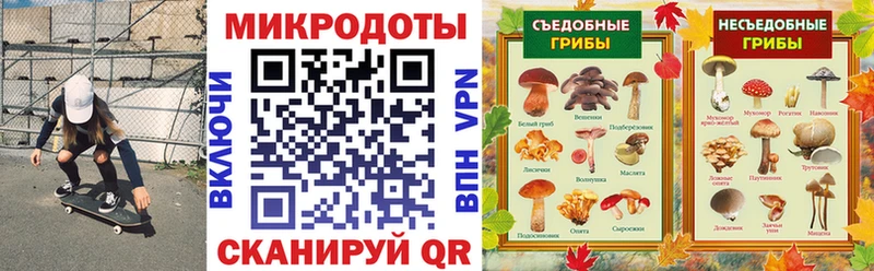 Галлюциногенные грибы Psilocybe Райчихинск